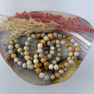 8mm Fossilized Coral Bracelet