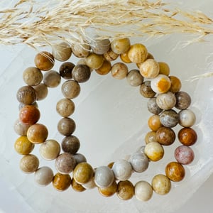 8mm Fossilized Coral Bracelet