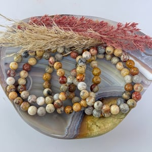 8mm Crazy Lace Agate Bracelet