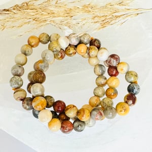 8mm Crazy Lace Agate Bracelet