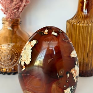 Carnelain Agate Freeform