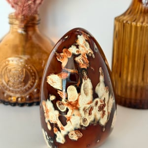 Carnelain Agate Freeform
