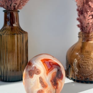 Carnelian Agate Freeform