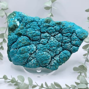Malachite & Chrysocolla - Congo