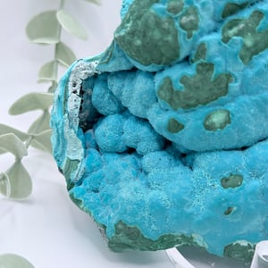 Malachite & Chrysocolla - Congo