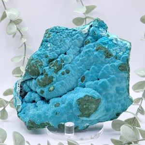 Malachite & Chrysocolla - Congo