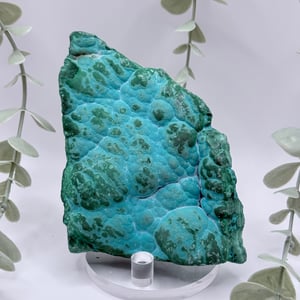 Malachite & Chrysocolla - Congo