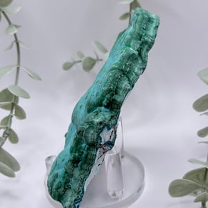 Malachite & Chrysocolla - Congo