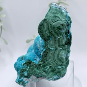 Malachite & Chrysocolla - Congo