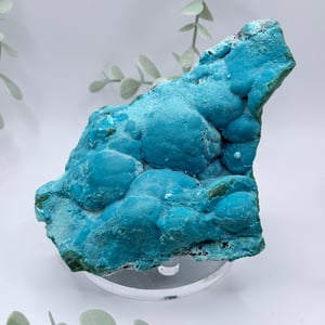 Malachite & Chrysocolla - Congo