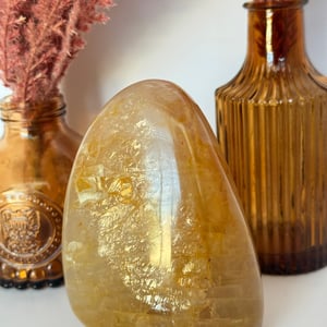 Golden Healer Freeform