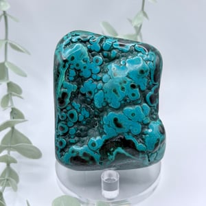 Polished Malachite & Chrysocolla - Congo