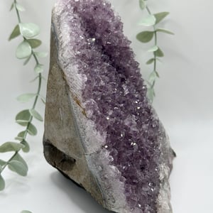 Amethyst Cluster On Cut Base - Large
