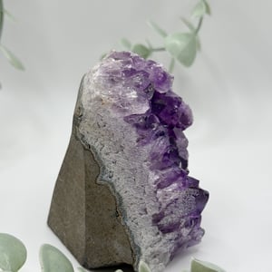 Amethyst Cluster On Cut Base - Small  Amanda