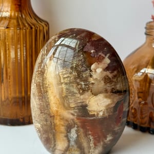 Petrified Wood Freeform
