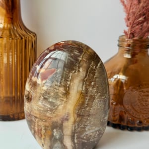 Petrified Wood Freeform