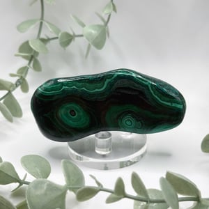 Polished Malachite - Congo - Amanda
