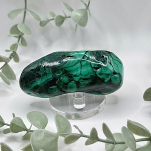 Polished Malachite - Congo - Amanda