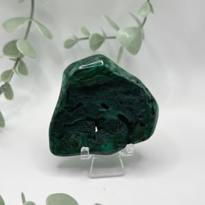 Polished Malachite - Congo  Amanda
