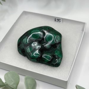 Polished Malachite - Congo  Amanda
