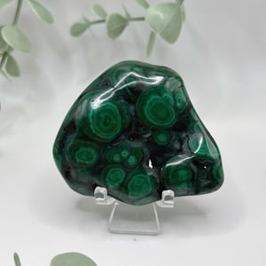 Polished Malachite - Congo  Amanda