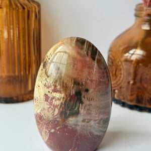 Petrified Wood Freeform