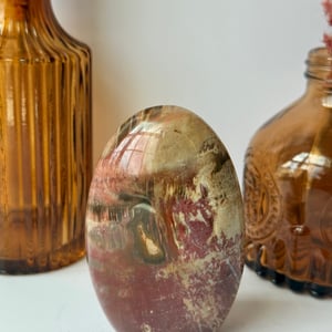 Petrified Wood Freeform