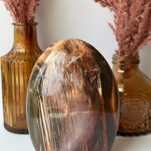 Petrified Wood Freeform