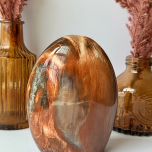 Petrified Wood Freeform