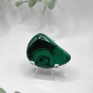 Polished Malachite - Congo  Amanda
