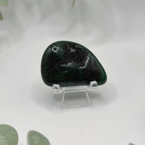 Polished Malachite - Congo  Amanda