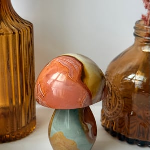 Polychrome Jasper Mushroom