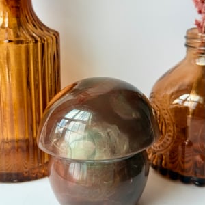 Polychrome Jasper Mushroom