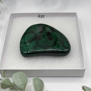 Polished Malachite - Congo  Amanda