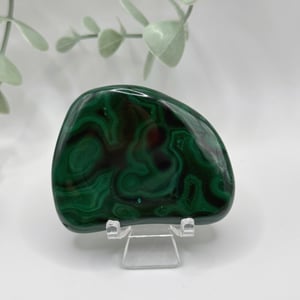 Polished Malachite - Congo  Amanda
