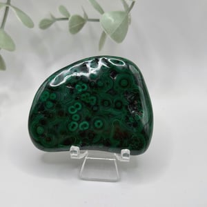 Polished Malachite - Congo  Amanda