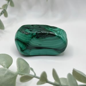Polished Malachite - Congo Amanda