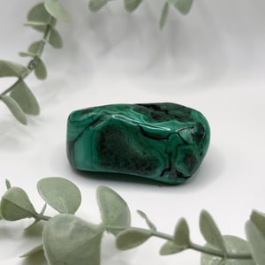 Polished Malachite - Congo Amanda