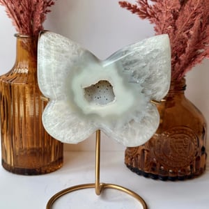 Brazilian Agate Butterfly