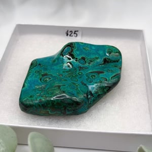 Polished Malachite & Chrysocolla - Congo Amanda