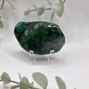 Polished Malachite - Congo Amanda