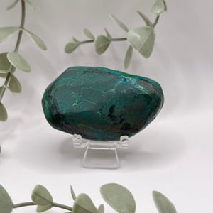 Polished Malachite - Congo Amanda