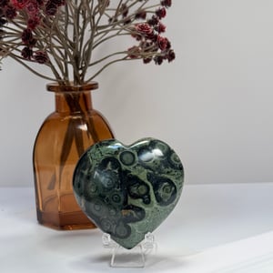 Kambaba Jasper Heart