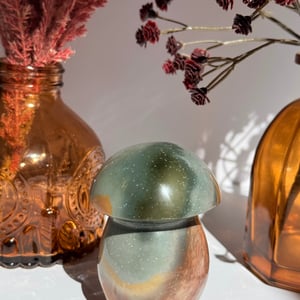 Polychrome Jasper Mushroom