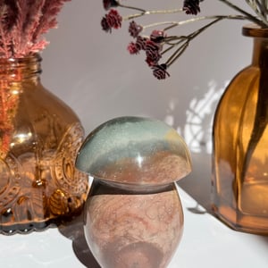 Polychrome Jasper Mushroom
