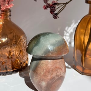 Polychrome Jasper Mushroom
