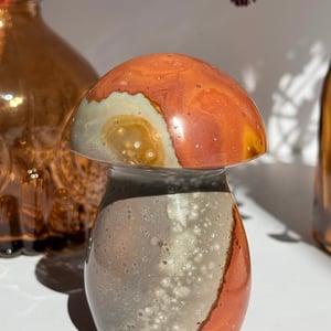 Polychrome Jasper Mushroom
