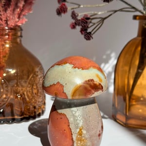 Polychrome Jasper Mushroom
