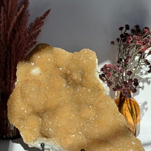 Druzy "Root Beer" Quartz Cluster