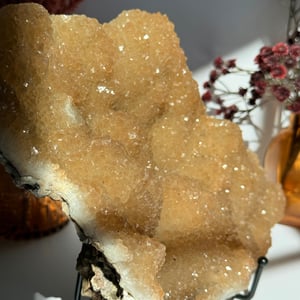 Druzy "Root Beer" Quartz Cluster